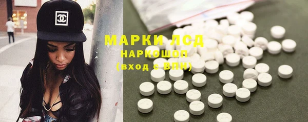 гидра Инсар