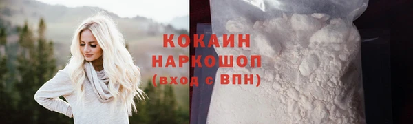 СК Инта