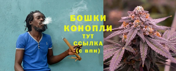 СК Инта