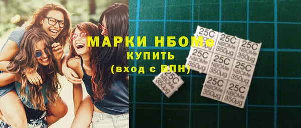 гидра Инсар