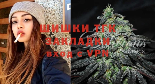 гидра Инсар