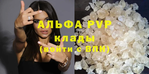 СК Инта
